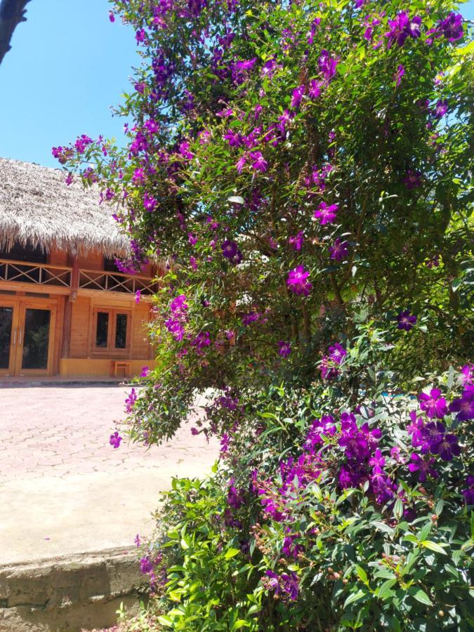 Flower Hmong Homestay Бакха Экстерьер фото